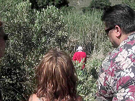 Dick Nasty & Ryder Skye & Darryl Hannah & Sindee Jennings in This Ain’t Gilligan’s Island XXX – Hustler